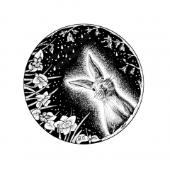 April Portal by Angela Smith, Nodding Violet Studios - A black and white ink drawing. Within a circle, a bunny peeks from amidst daffodils and budding forsythia branches. Raindrops fall against a dark, starry sky.