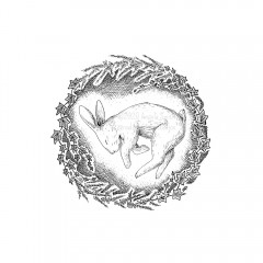 Hibunation by Angela Smith, Nodding Violet Studios - A black and white ink drawing. A bunny slumbers on its side, seen from above, wreathed in a circlet of rosemary sprigs and ivy vines.
