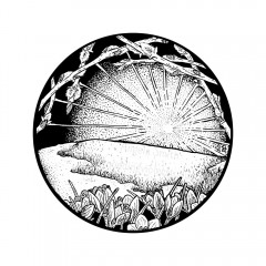 March Portal by Angela Smith, Nodding Violet Studios - A black and white ink drawing. Within a circle, new crocuses and reaching pussy willow branches in bud frame a thawing hillside and dawning sun.