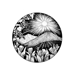 May Portal by Angela Smith, Nodding Violet Studios - A black and white ink drawing . Within a cirlce, tulips and lilacs frame mountains a sun rising behind receding mountains.