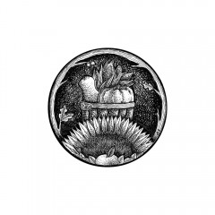 November Portal by Angela Smith, Nodding Violet Studios - A black and white ink drawing. Oak branches and leaves wreath a circular portal through which is seen a wood-slat bushel basket, containing butternut squash, pumpkin, and corn. In front, a sunflower and leafy apple peek from the center bottom of the portal.