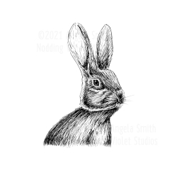 Peeking Hare by Angela Smith, Nodding Violet Studios - a pen and ink drawing of the bust of a New England Cottontail rabbit.