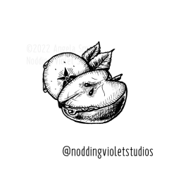 Small Apple by Angela Smith, Nodding Violet Studios - a black and white pen and ink illustration of two apple halves, one cleft vertically, the other horizontally to show the star-like seed center. Leaves and stem peek from the edges and droplets of water cling to the circumfences.