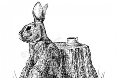 A Guest For Tea by Angela Smith, Nodding Violet Studios -A black and white ink drawing. A New England cottontail bunny is seen from behind, looking to his left. He sits beside a stump, where his cup of tea is steeping. In a crook of the roots, a single violet grows.
