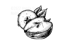 Small Apple by Angela Smith, Nodding Violet Studios - a black and white pen and ink illustration of two apple halves, one cleft vertically, the other horizontally to show the star-like seed center. Leaves and stem peek from the edges and droplets of water cling to the circumfences.