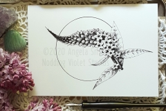 Loosestrife - 5x7 Blank Greeting Card